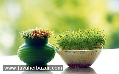 از جواهربازار عیدی بگیرید این خبر منقضی شده است.