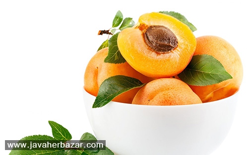 فوائد و مضررات میوه زردآلو فوائد و مضررات میوه زردآلو