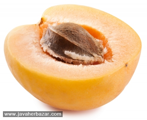 فوائد و مضررات میوه زردآلو فوائد و مضررات میوه زردآلو
