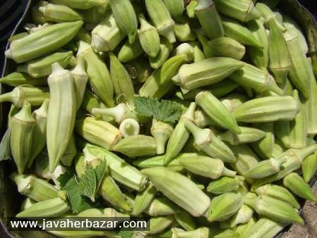 خواص شگفت انگیر بامیه خواص شگفت انگیر بامیه
