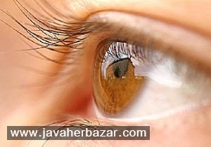 تشخیص آلزایمر از روی چشم تشخیص آلزایمر از روی چشم