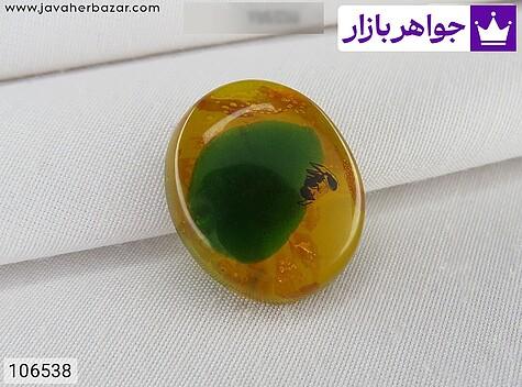 سندلوس حشره ای نگین سندلوس نارنجی حشره ای - 106538