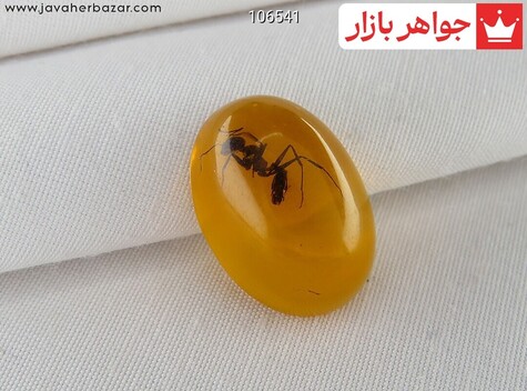 نگین سندلوس نارنجی حشره ای - 106541