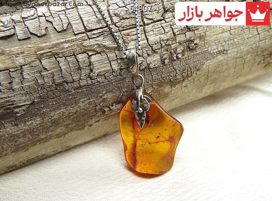 گردنبند نقره کهربا بولونی لهستان حشره ای جذاب