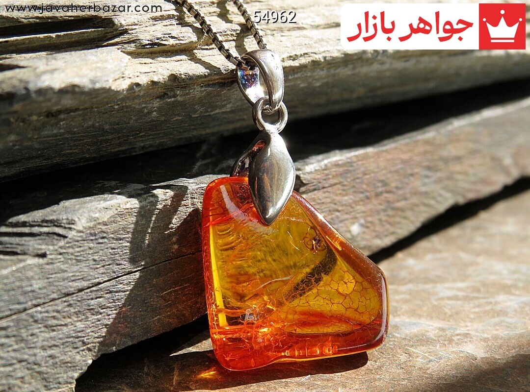 پلاک نقره کهربا بولونی لهستان حشره ای جذاب