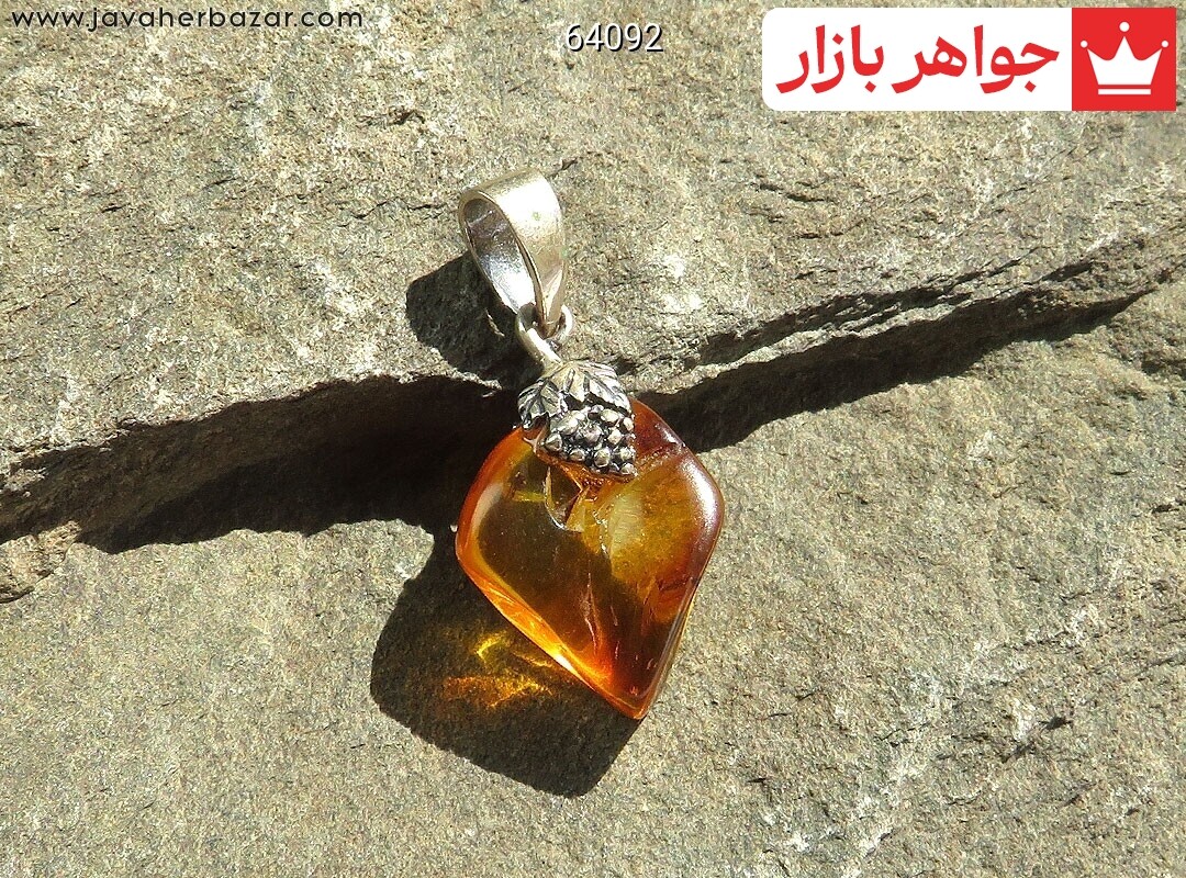 آویز کهربا بولونی لهستان حشره ای
