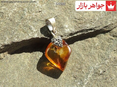 مدال کهربا بولونی لهستان حشره ای