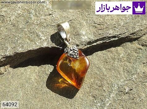 کهربا حشره ای مدال کهربا بولونی لهستان حشره ای - 64092