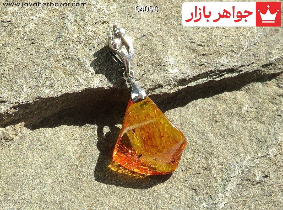 گردنبند کهربا بولونی لهستان حشره ای