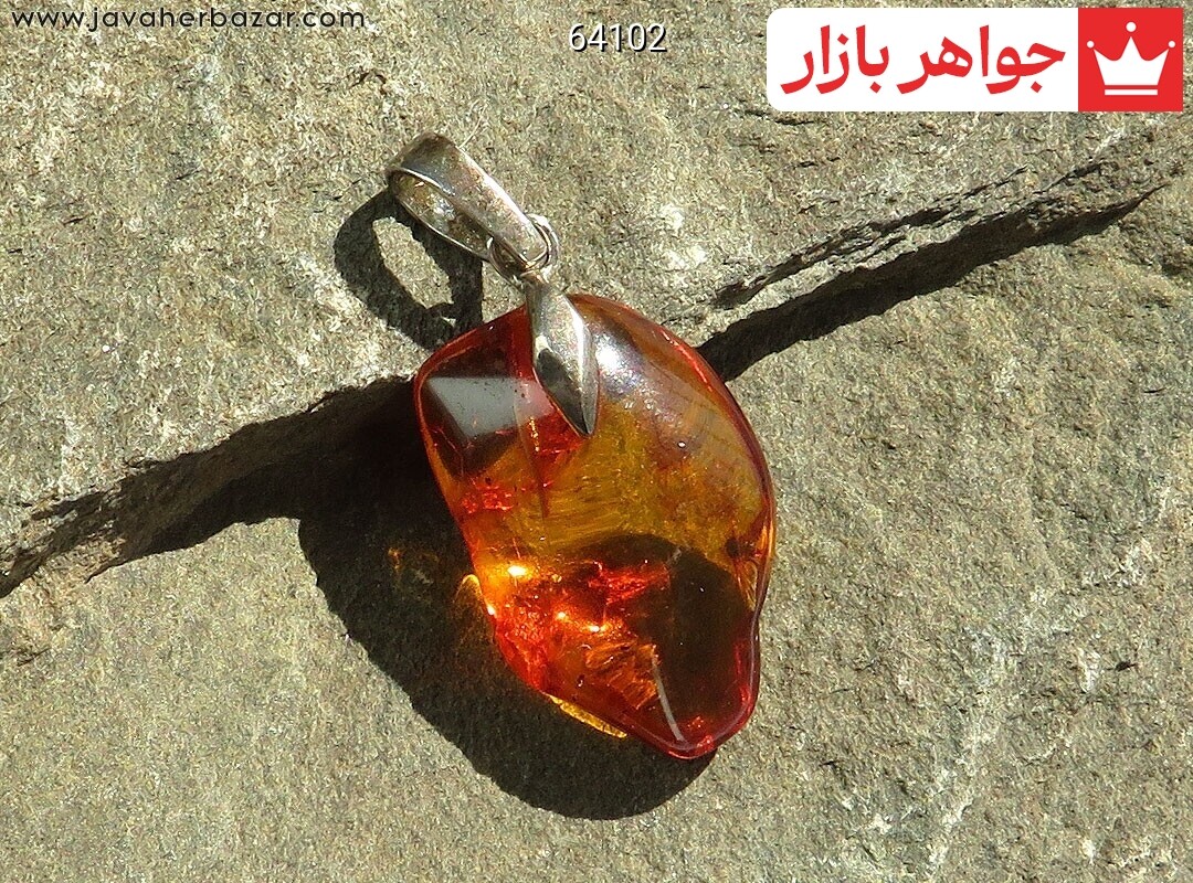 آویز کهربا بولونی لهستان حشره ای