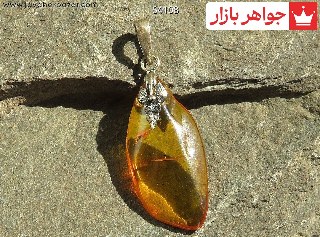 آویز کهربا بولونی لهستان حشره ای مرغوب