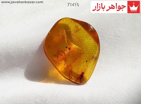 نگین تک کهربا حشره ای - 71416