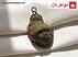 مدال هبهاب کلوخه ای-1