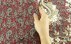 ترمه رومیزی بزرگ طرح یاس دست ساز-7