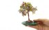 تندیس چندنگین درختچه درشت باشکوه-10