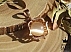 مدال چشم گربه آبکاری رزگلد-1