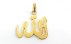 مدال طرح الله سایز درشت-1