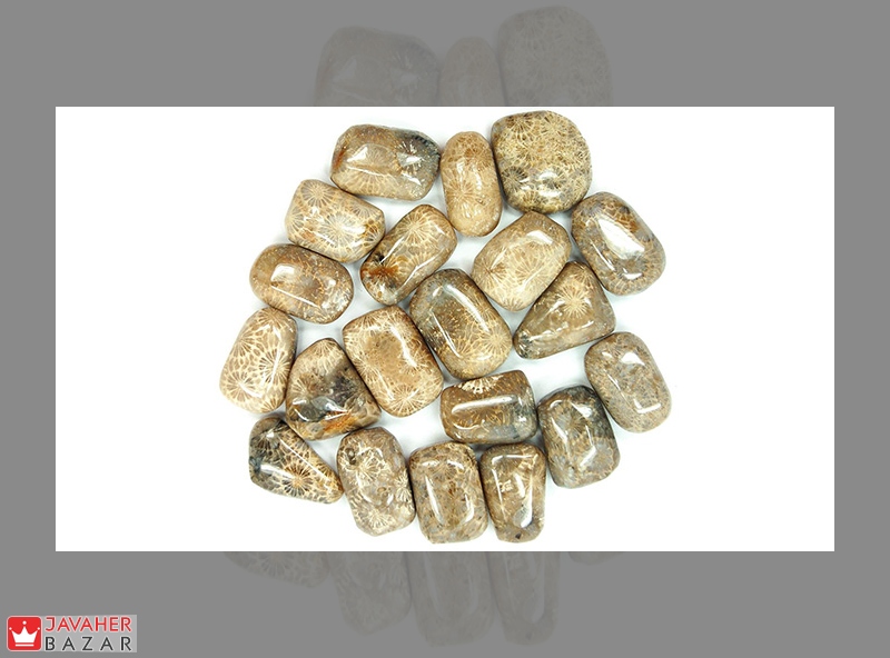 خواص درمانی مرجان فسیلی و تاریخچه آن خواص درمانی مرجان فسیلی و تاریخچه آن